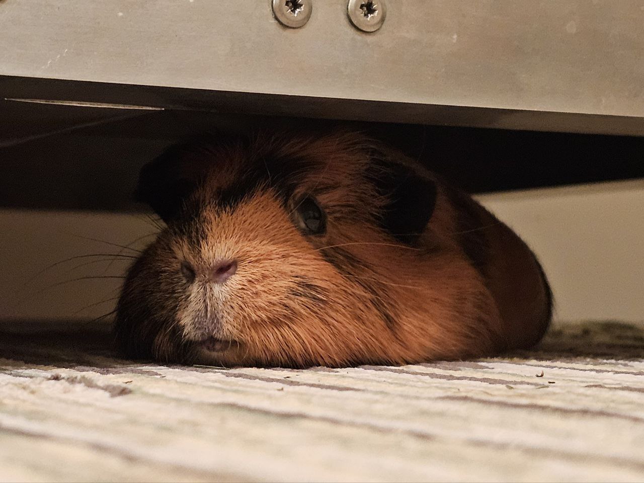 Фото студента