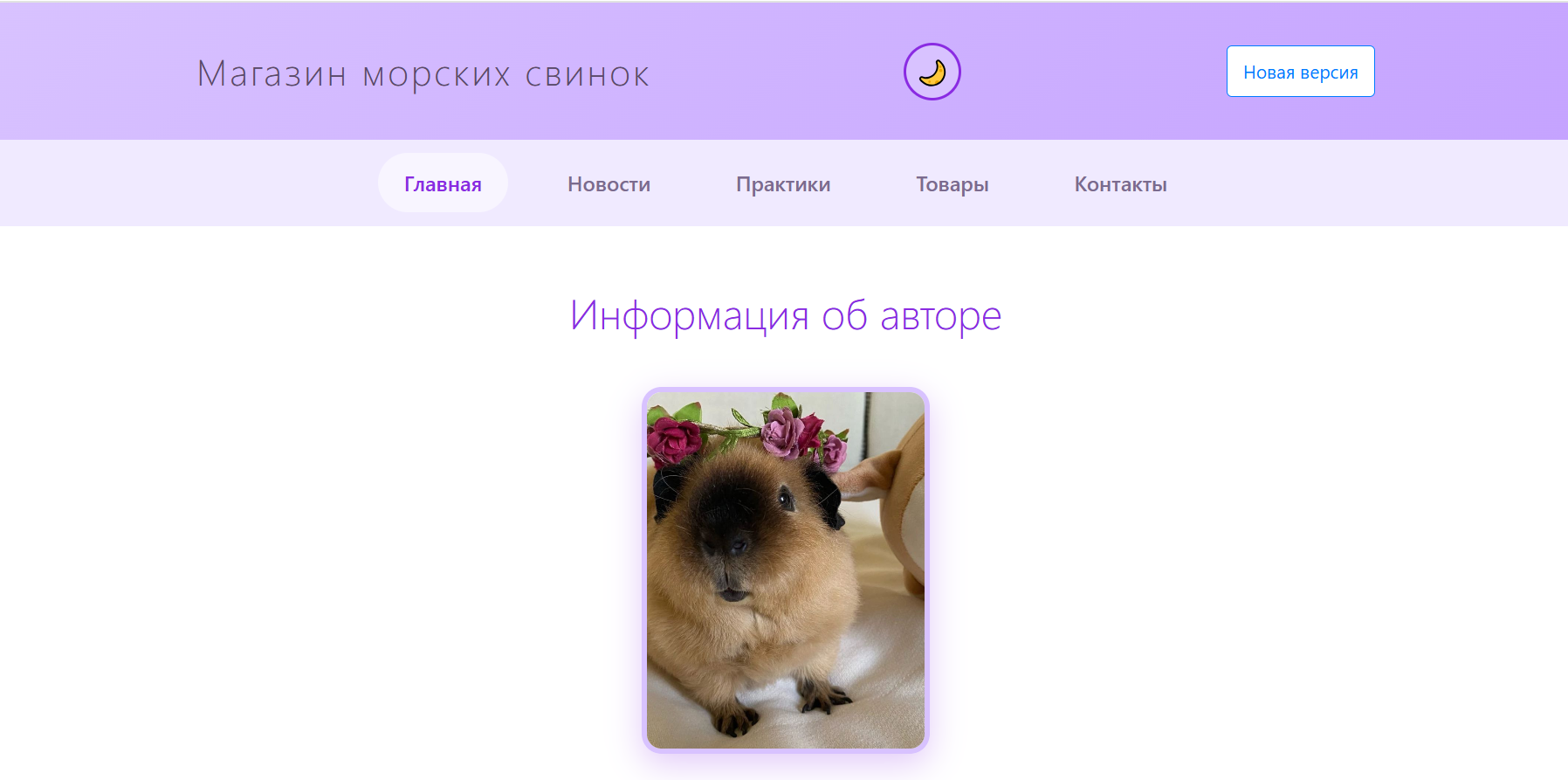 Личный сайт